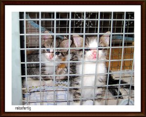 IMG_0157 reisefertig.JPG