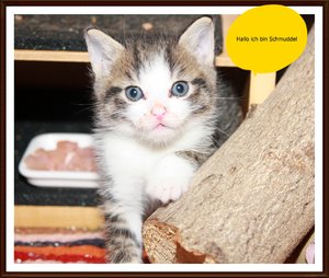 IMG_9388 neu Schmuddel.JPG