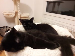 WhatsApp Image 2018-08-25 at 08.20.31.jpeg