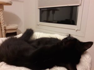 WhatsApp Image 2018-08-25 at 08.20.32 (1).jpeg