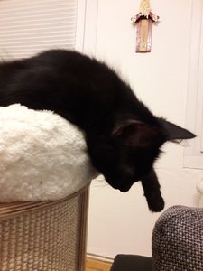 WhatsApp Image 2018-08-25 at 08.20.36 (1).jpeg