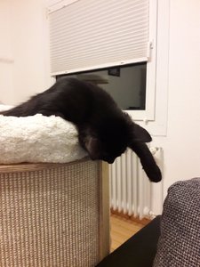 WhatsApp Image 2018-08-25 at 08.20.38.jpeg