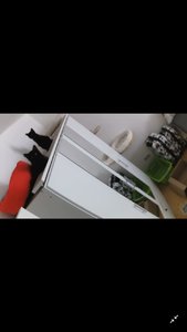 WhatsApp Image 2018-08-25 at 11.38.37.jpeg