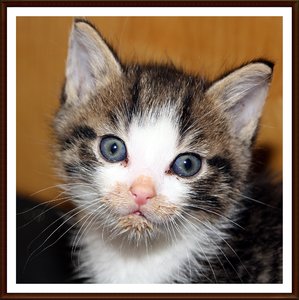 IMG_9453 Schmuddel neu.JPG