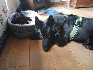 WhatsApp Image 2018-08-26 at 12.54.20.jpeg