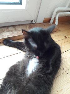 WhatsApp Image 2018-09-04 at 16.04.25.jpeg