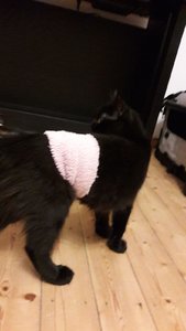 WhatsApp Image 2018-09-04 at 22.25.39.jpeg