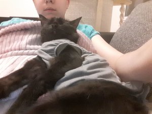 WhatsApp Image 2018-09-07 at 12.45.51.jpeg