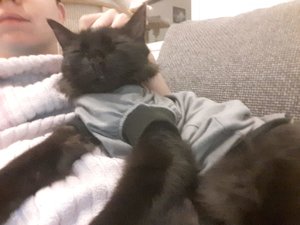 WhatsApp Image 2018-09-07 at 12.46.29.jpeg