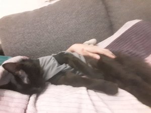 WhatsApp Image 2018-09-07 at 12.46.43.jpeg