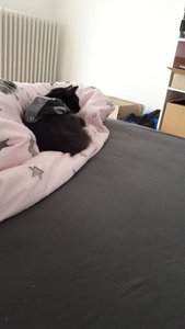 WhatsApp Image 2018-09-07 at 09.11.44.jpeg