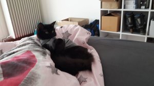 WhatsApp Image 2018-09-07 at 09.19.28.jpeg