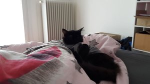 WhatsApp Image 2018-09-07 at 09.21.26.jpeg