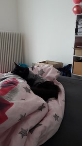 WhatsApp Image 2018-09-07 at 09.36.10.jpeg