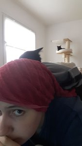 WhatsApp Image 2018-09-07 at 12.21.00.jpeg