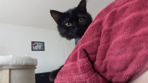 WhatsApp Image 2018-09-07 at 12.23.21.jpeg