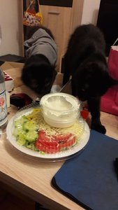 WhatsApp Image 2018-09-09 at 20.22.06.jpeg