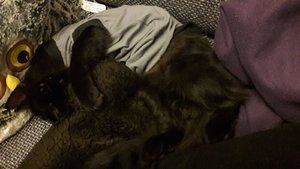 WhatsApp Image 2018-09-10 at 22.56.02.jpeg