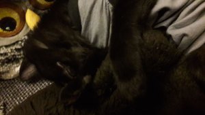 WhatsApp Image 2018-09-10 at 23.05.36.jpeg