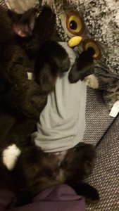 WhatsApp Image 2018-09-10 at 23.19.26.jpeg