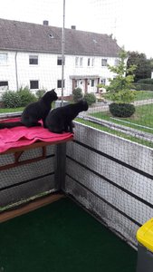 WhatsApp Image 2018-09-15 at 18.01.00.jpeg