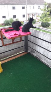 WhatsApp Image 2018-09-15 at 18.01.15.jpeg