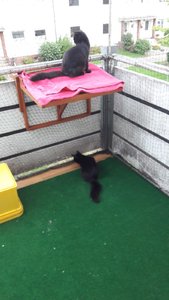 WhatsApp Image 2018-09-15 at 18.02.22.jpeg