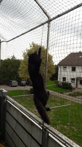 WhatsApp Image 2018-09-15 at 15.02.58.jpeg