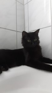 WhatsApp Image 2018-09-21 at 13.07.45.jpeg