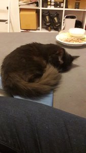 WhatsApp Image 2018-10-03 at 21.24.57.jpeg