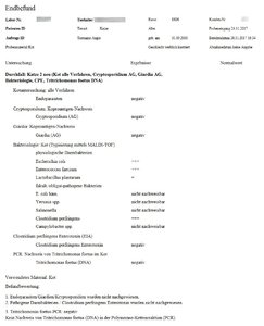 Angie 2017-11-28 Labor Befund Kotproben forum.jpg