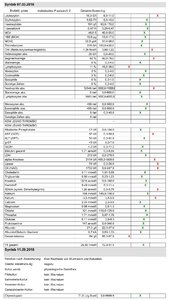 Angie 2018-03-07 Blutbild groß forum.jpg