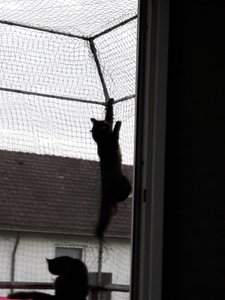 WhatsApp Image 2018-10-04 at 19.05.45.jpeg