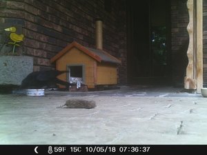 Terrasse 09.05 074.jpg