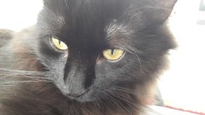 WhatsApp Image 2018-10-21 at 11.47.26.jpeg