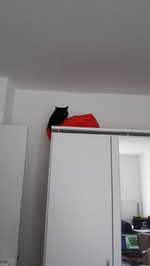 WhatsApp Image 2018-10-21 at 13.34.46.jpeg