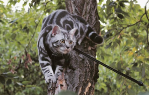 Bildschirmfoto 2018-10-24 um 14.55.43.png