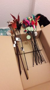 WhatsApp Image 2018-10-25 at 18.11.40.jpeg