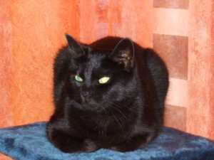 Mix NovDez 2007 262 [1600x1200].jpg