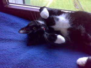 Handyfotos Mone08 093 [1600x1200].jpg