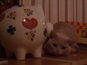 MIX 496 [1600x1200].JPG