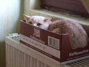 MIX 488 [1600x1200].JPG