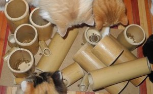 Fummelbrett1.jpg - IrfanView (Zoom 856 x 642)_2011-05-02_23-36-55.jpg