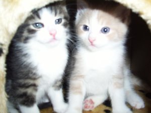 5 Wochen 1 Tag 01.jpg