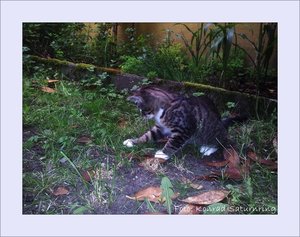 Tagebuch 13.08.2012.jpg