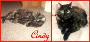 157hjl3 Kleine Webansicht.jpg