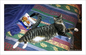 20121119_010857.jpg 20121119_010857.jpg