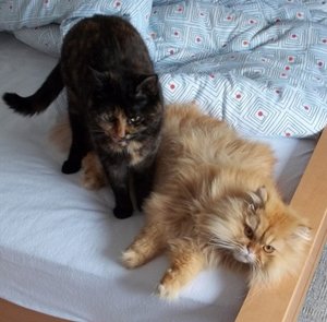 Wo bleibt denn nun der Frühling 001.jpg