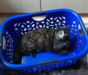 Schmuddelwetter 001.jpg