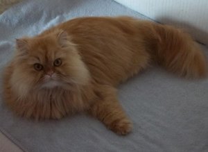 Schmuddelwetter 003.jpg